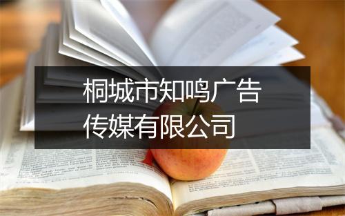 桐城市知鸣广告传媒有限公司
