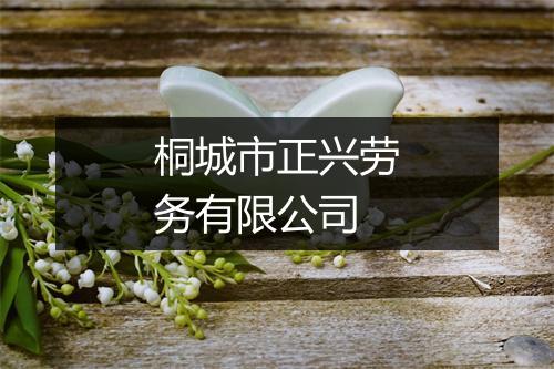 桐城市正兴劳务有限公司