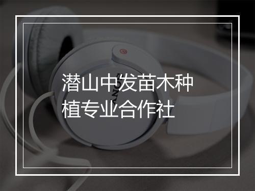 潜山中发苗木种植专业合作社