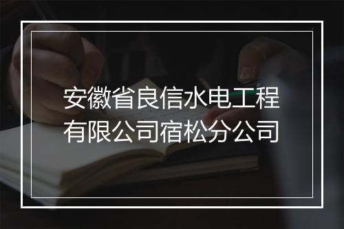 安徽省良信水电工程有限公司宿松分公司