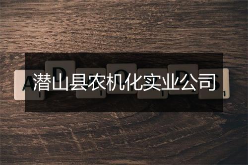 潜山县农机化实业公司