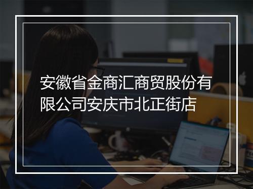 安徽省金商汇商贸股份有限公司安庆市北正街店