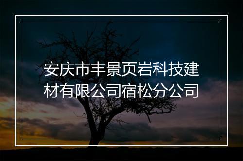 安庆市丰景页岩科技建材有限公司宿松分公司
