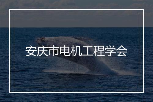 安庆市电机工程学会