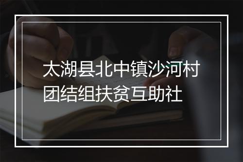 太湖县北中镇沙河村团结组扶贫互助社