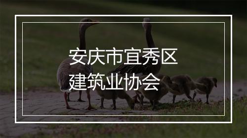 安庆市宜秀区建筑业协会