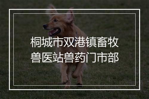 桐城市双港镇畜牧兽医站兽药门市部