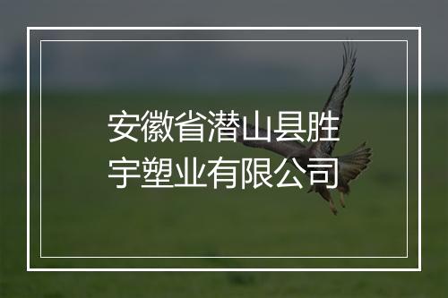 安徽省潜山县胜宇塑业有限公司