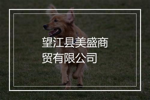 望江县美盛商贸有限公司