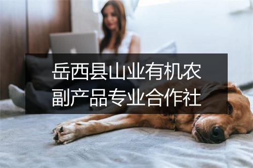 岳西县山业有机农副产品专业合作社