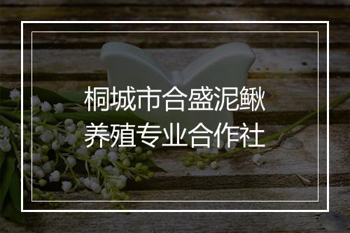 桐城市合盛泥鳅养殖专业合作社