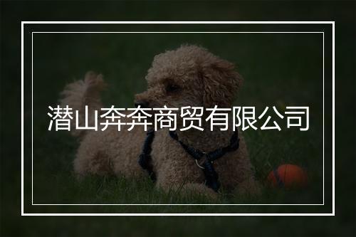 潜山奔奔商贸有限公司