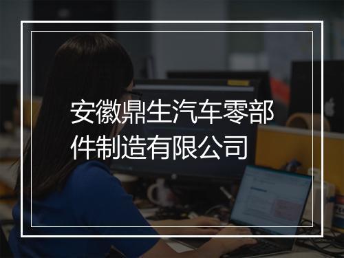 安徽鼎生汽车零部件制造有限公司