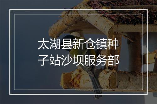 太湖县新仓镇种子站沙坝服务部