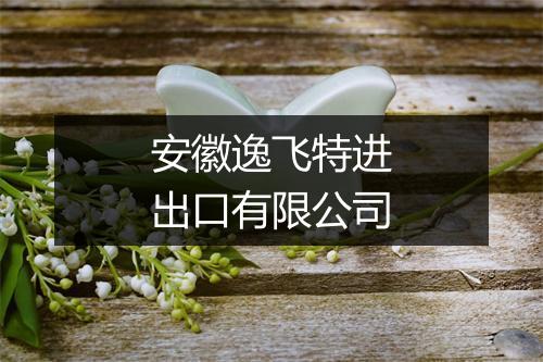 安徽逸飞特进出口有限公司