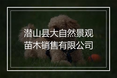 潜山县大自然景观苗木销售有限公司