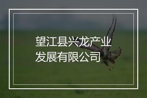 望江县兴龙产业发展有限公司