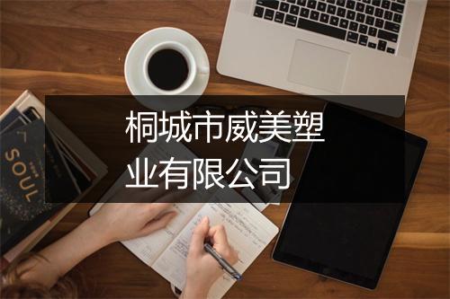 桐城市威美塑业有限公司