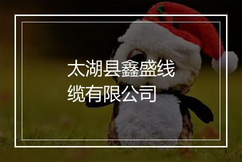 太湖县鑫盛线缆有限公司