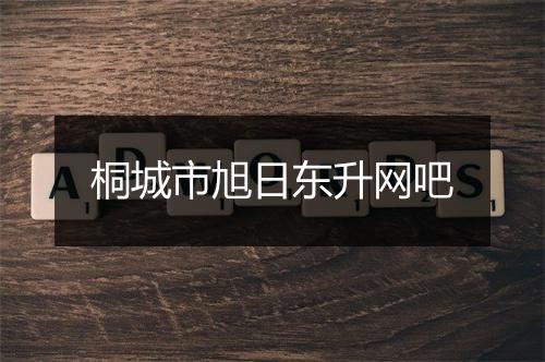 桐城市旭日东升网吧