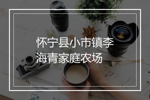 怀宁县小市镇李海青家庭农场