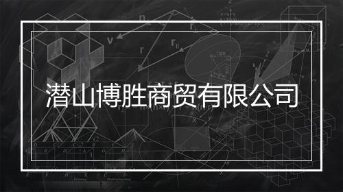 潜山博胜商贸有限公司