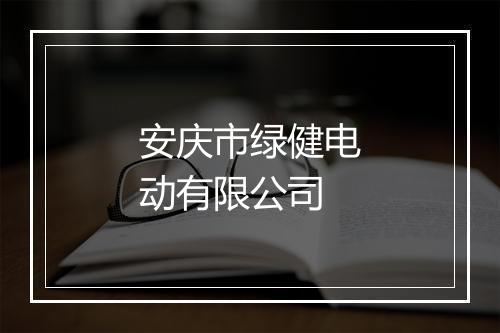 安庆市绿健电动有限公司
