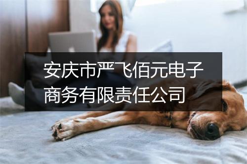 安庆市严飞佰元电子商务有限责任公司