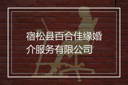 宿松县百合佳缘婚介服务有限公司