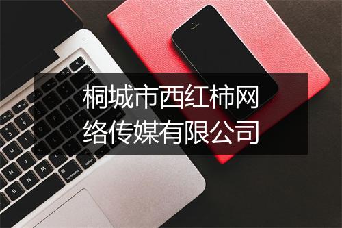 桐城市西红柿网络传媒有限公司