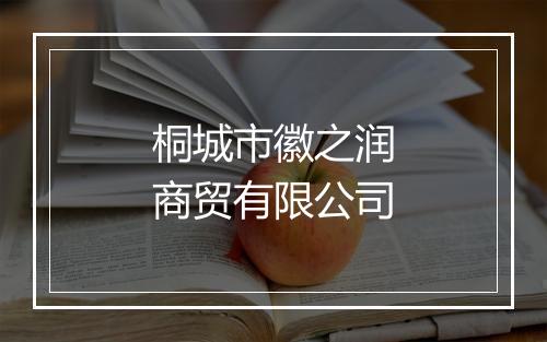 桐城市徽之润商贸有限公司