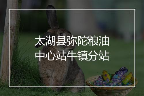 太湖县弥陀粮油中心站牛镇分站