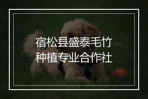 宿松县盛泰毛竹种植专业合作社
