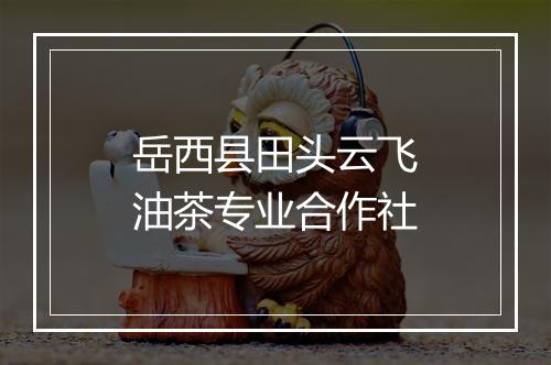 岳西县田头云飞油茶专业合作社