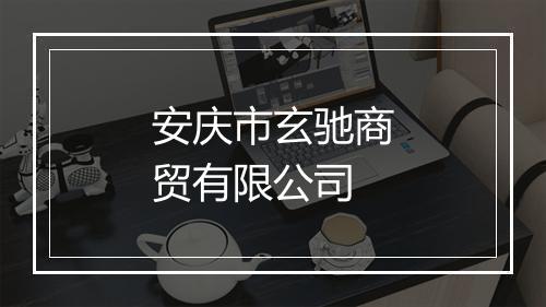 安庆市玄驰商贸有限公司