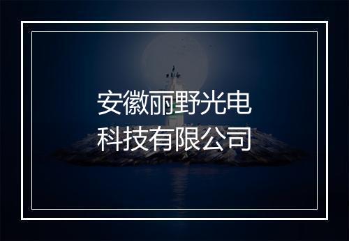 安徽丽野光电科技有限公司
