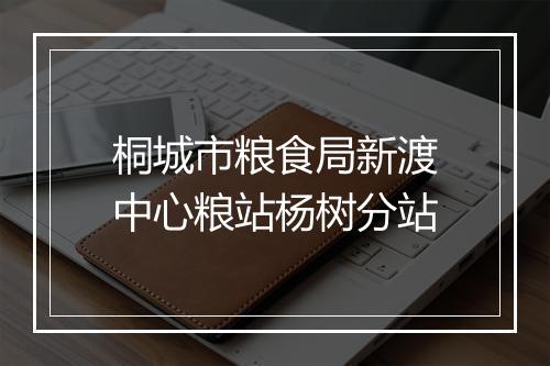 桐城市粮食局新渡中心粮站杨树分站