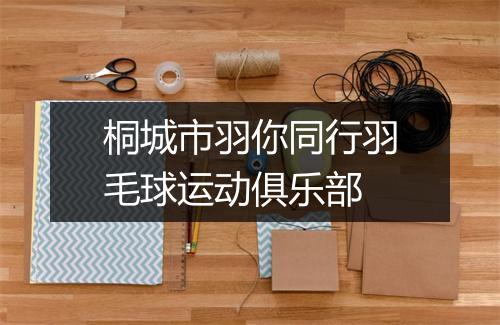 桐城市羽你同行羽毛球运动俱乐部