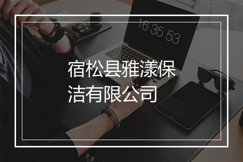 宿松县雅漾保洁有限公司