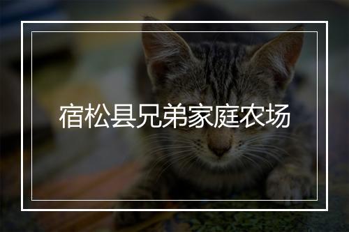 宿松县兄弟家庭农场