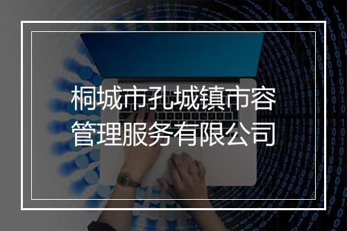 桐城市孔城镇市容管理服务有限公司
