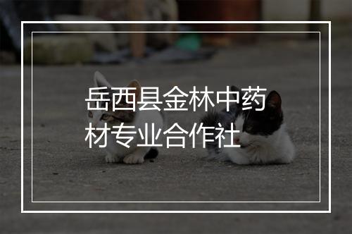岳西县金林中药材专业合作社
