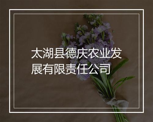太湖县德庆农业发展有限责任公司