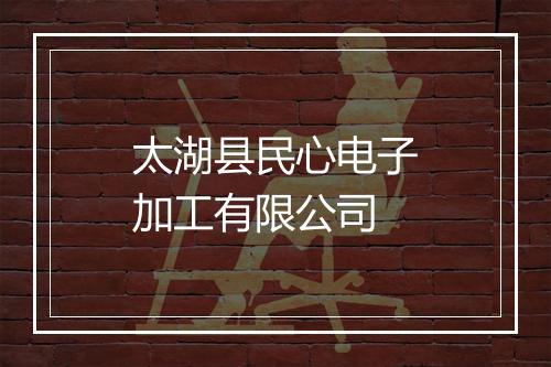 太湖县民心电子加工有限公司