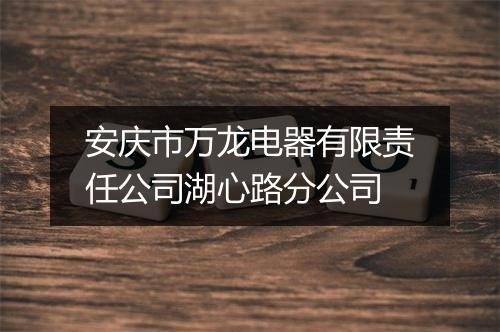 安庆市万龙电器有限责任公司湖心路分公司