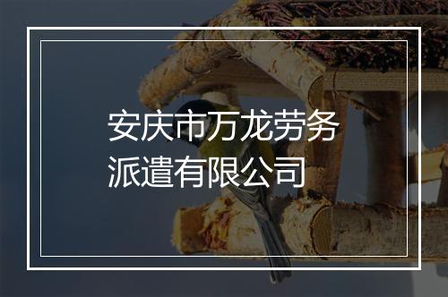 安庆市万龙劳务派遣有限公司