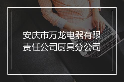 安庆市万龙电器有限责任公司厨具分公司