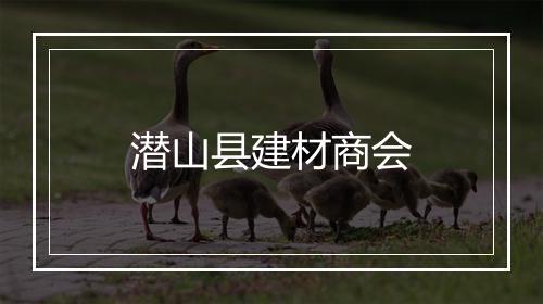 潜山县建材商会