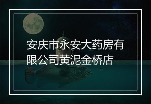 安庆市永安大药房有限公司黄泥金桥店
