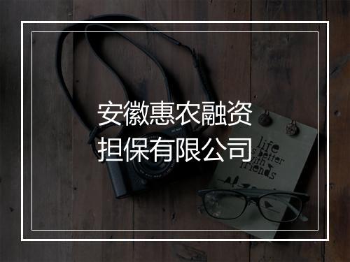 安徽惠农融资担保有限公司